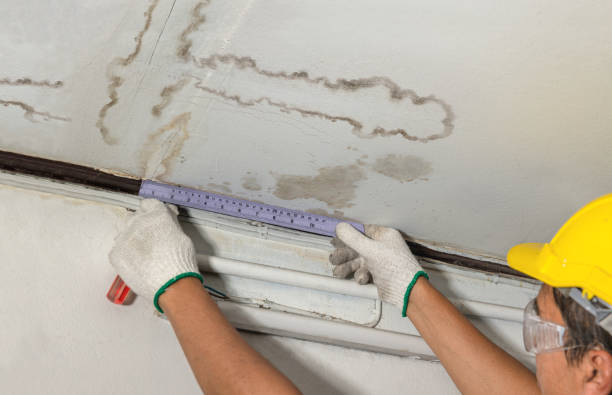 Reliable Sewage Cleanup contractor in Louisville, KY by Water Damage Irwin